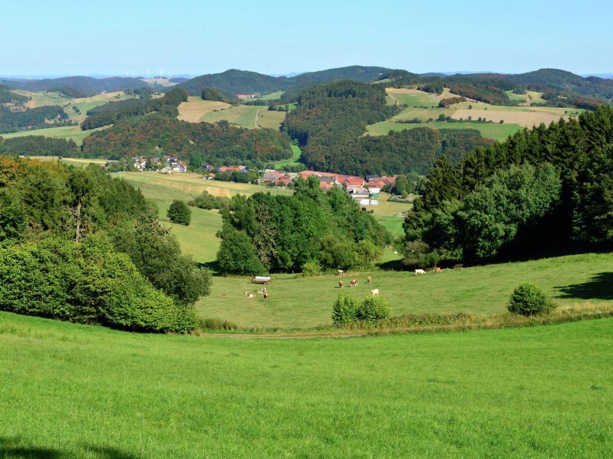Holiday In The Sauerland Region In Unique Location Willingen  Ngoại thất bức ảnh